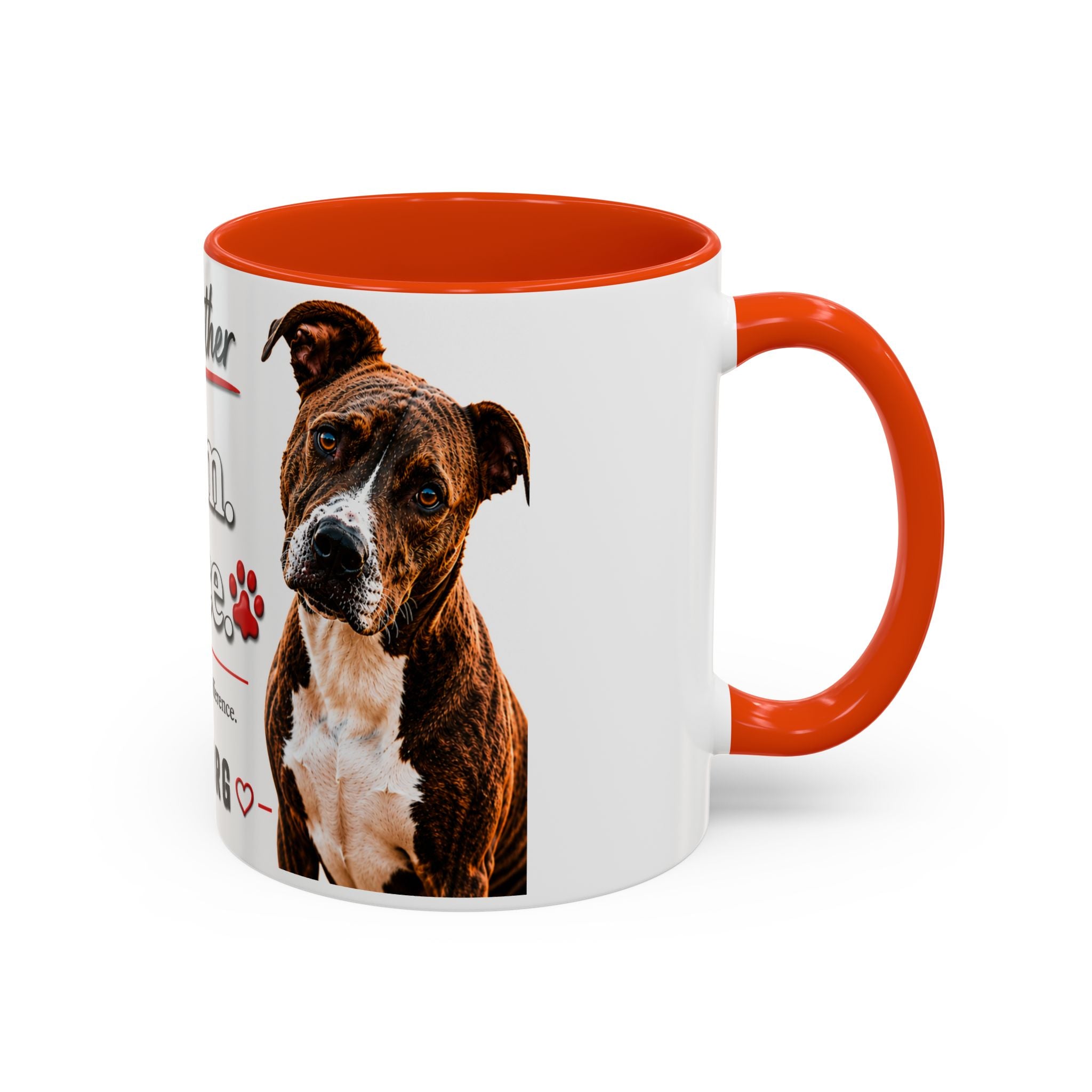 Colorful Mugs (11oz, 15oz)